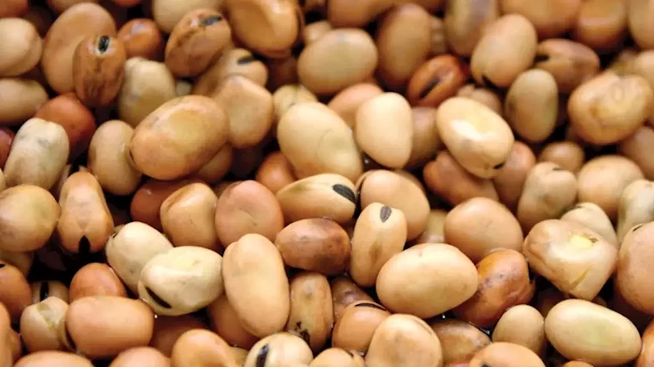 تراجع أسعار الفول والدقيق والزيت في الأسواق المصرية خلال تعاملات يوم الاثنين